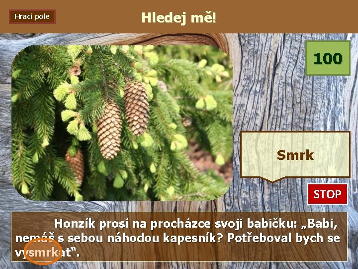Hrací pole Hledej mě! 100 Smrk STOP 0: 01 0: 02 0: 03 0: