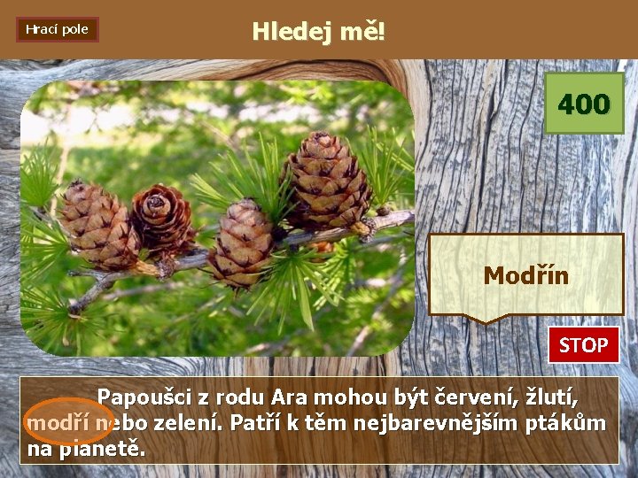 Hrací pole Hledej mě! 400 Modřín STOP 0: 01 0: 02 0: 03 0: