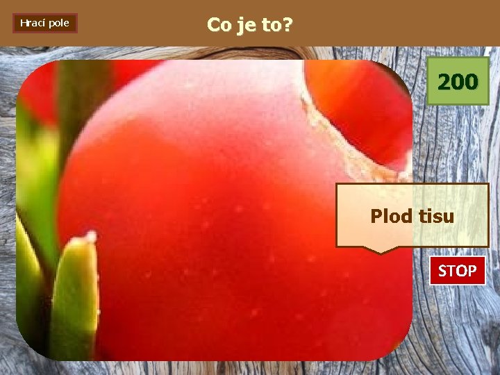Hrací pole Co je to? 200 Plod tisu STOP 0: 01 0: 02 0: