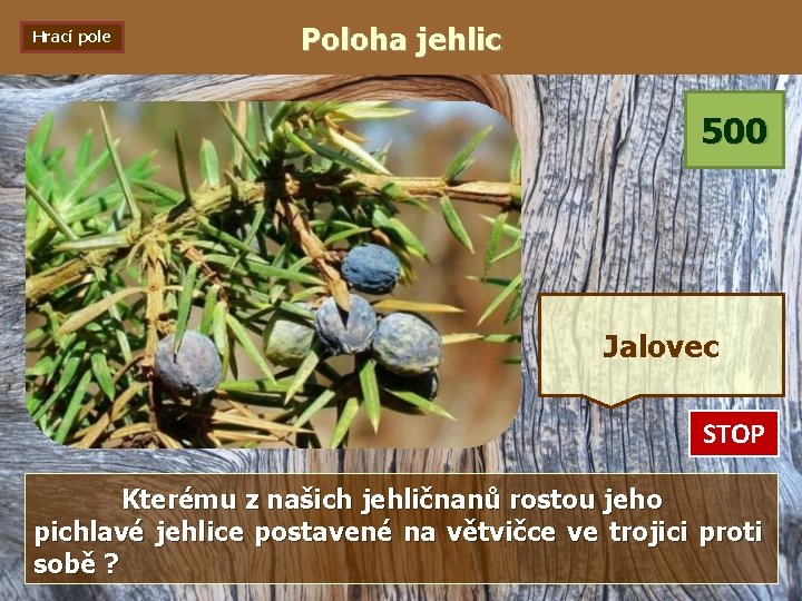 Hrací pole Poloha jehlic 500 Jalovec STOP 0: 01 0: 02 0: 03 0: