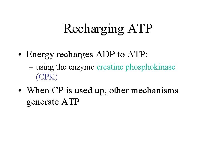 Recharging ATP • Energy recharges ADP to ATP: – using the enzyme creatine phosphokinase