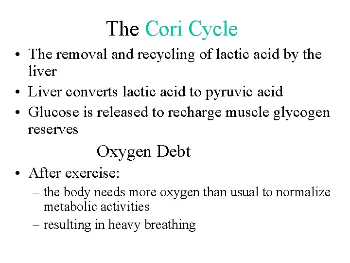 The Cori Cycle • The removal and recycling of lactic acid by the liver