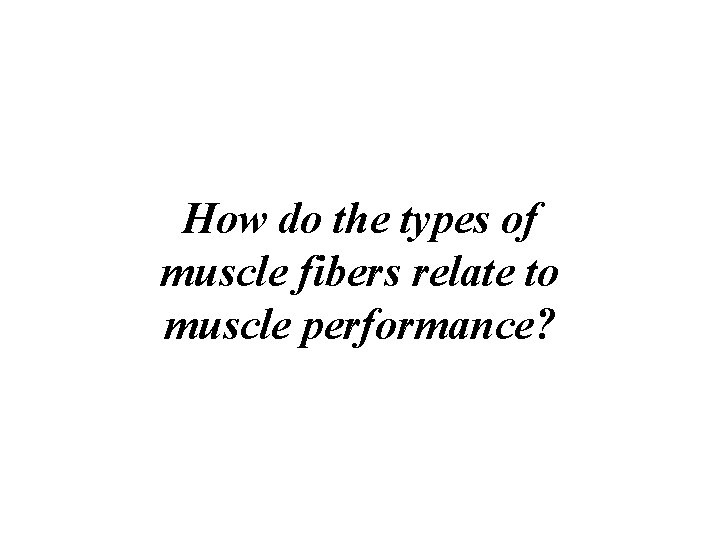 How do the types of muscle fibers relate to muscle performance? 