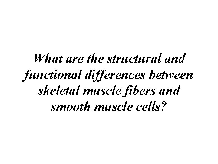 What are the structural and functional differences between skeletal muscle fibers and smooth muscle