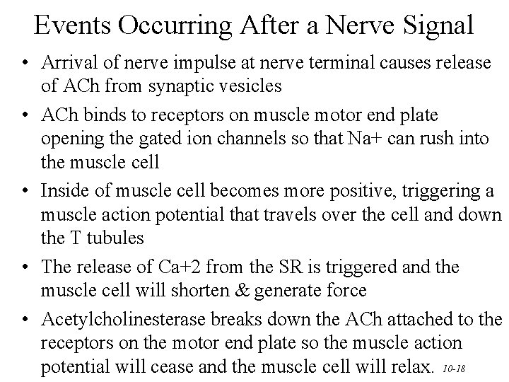 Events Occurring After a Nerve Signal • Arrival of nerve impulse at nerve terminal