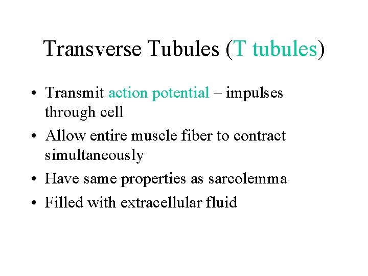 Transverse Tubules (T tubules) • Transmit action potential – impulses through cell • Allow