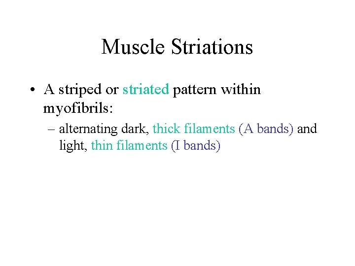 Muscle Striations • A striped or striated pattern within myofibrils: – alternating dark, thick