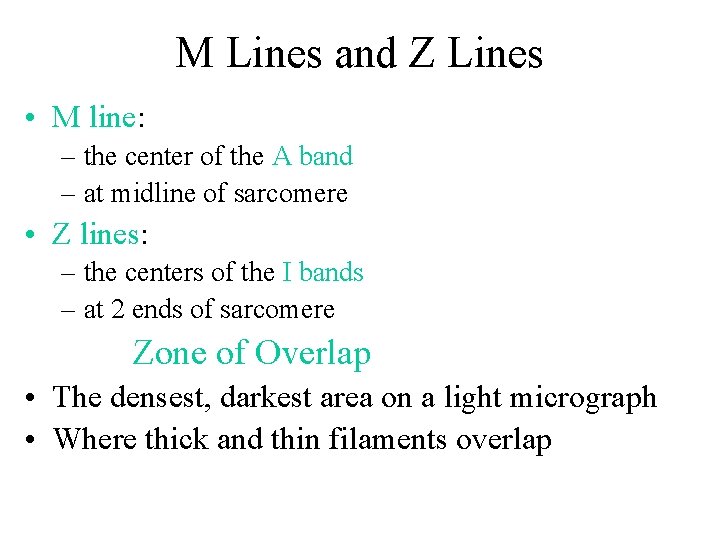 M Lines and Z Lines • M line: – the center of the A M Lines and Z Lines • M line: – the center of the A