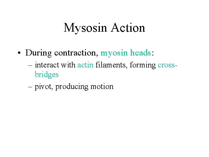 Mysosin Action • During contraction, myosin heads: – interact with actin filaments, forming crossbridges