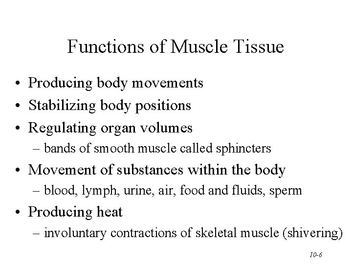 Functions of Muscle Tissue • Producing body movements • Stabilizing body positions • Regulating