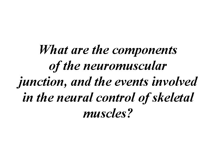 What are the components of the neuromuscular junction, and the events involved in the