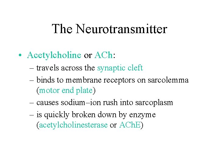 The Neurotransmitter • Acetylcholine or ACh: – travels across the synaptic cleft – binds