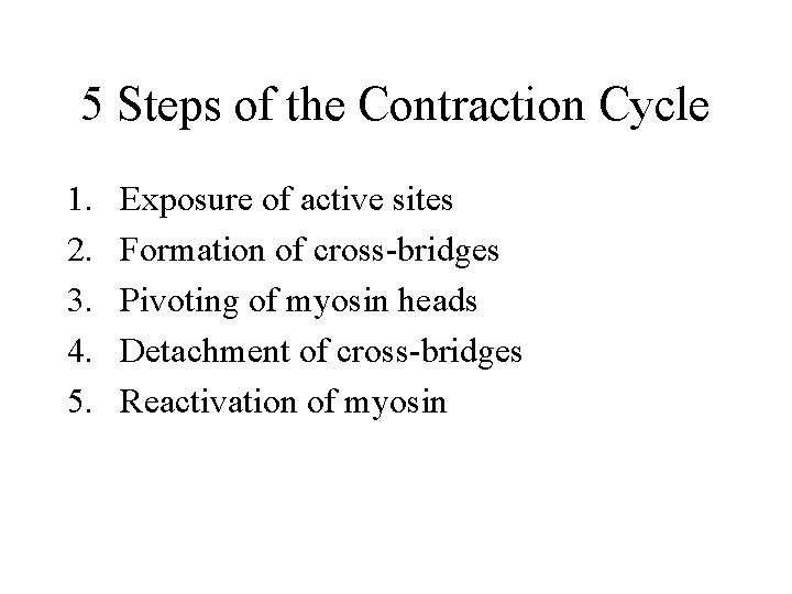 5 Steps of the Contraction Cycle 1. 2. 3. 4. 5. Exposure of active