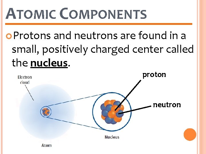 ATOMIC COMPONENTS Protons and neutrons are found in a small, positively charged center called