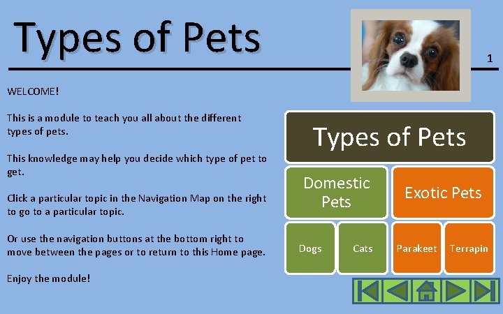 Types of Pets 1 WELCOME! This is a module to teach you all about