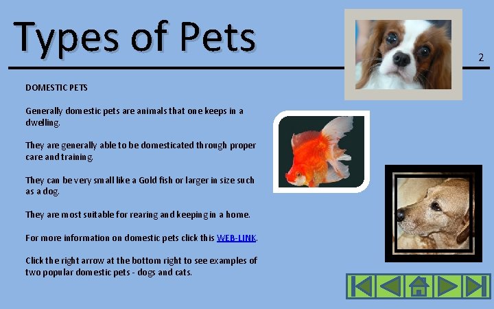 Types of Pets DOMESTIC PETS Generally domestic pets are animals that one keeps in