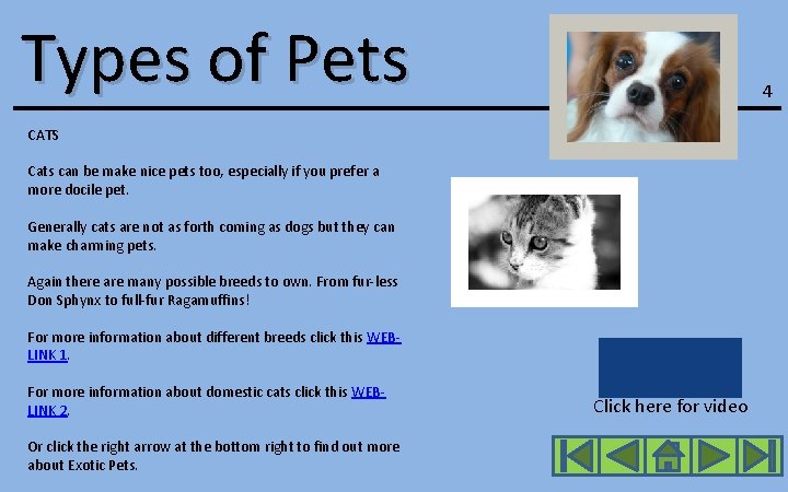 Types of Pets 4 CATS Cats can be make nice pets too, especially if