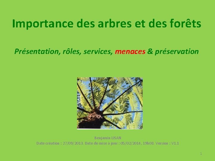 Importance des arbres et des forêts Présentation, rôles, services, menaces & préservation Benjamin LISAN