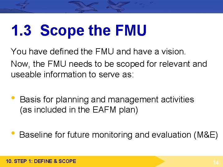 1. 3 Scope the FMU You have defined the FMU and have a vision. 1. 3 Scope the FMU You have defined the FMU and have a vision.