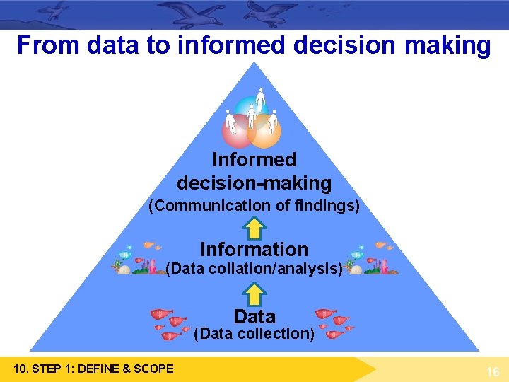 From data to informed decision making Informed decision-making (Communication of findings) Information (Data collation/analysis) From data to informed decision making Informed decision-making (Communication of findings) Information (Data collation/analysis)