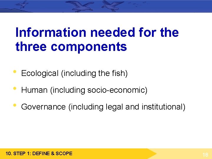 Information needed for the three components • • • Ecological (including the fish) Human Information needed for the three components • • • Ecological (including the fish) Human