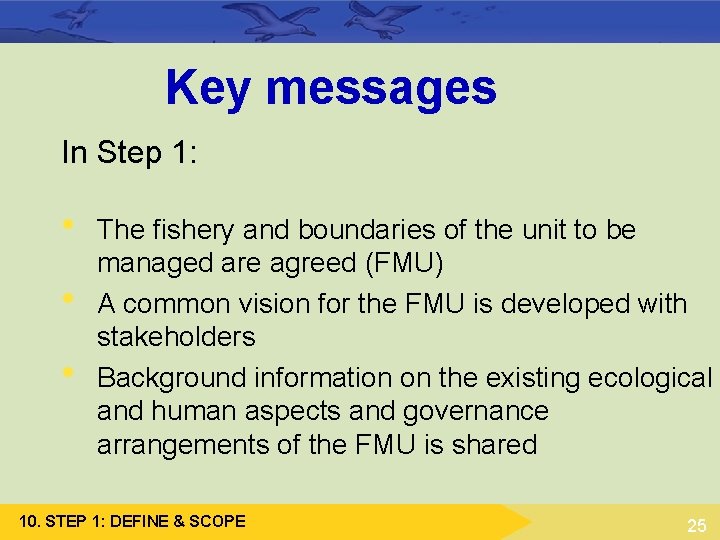Key messages In Step 1: • • • The fishery and boundaries of the Key messages In Step 1: • • • The fishery and boundaries of the