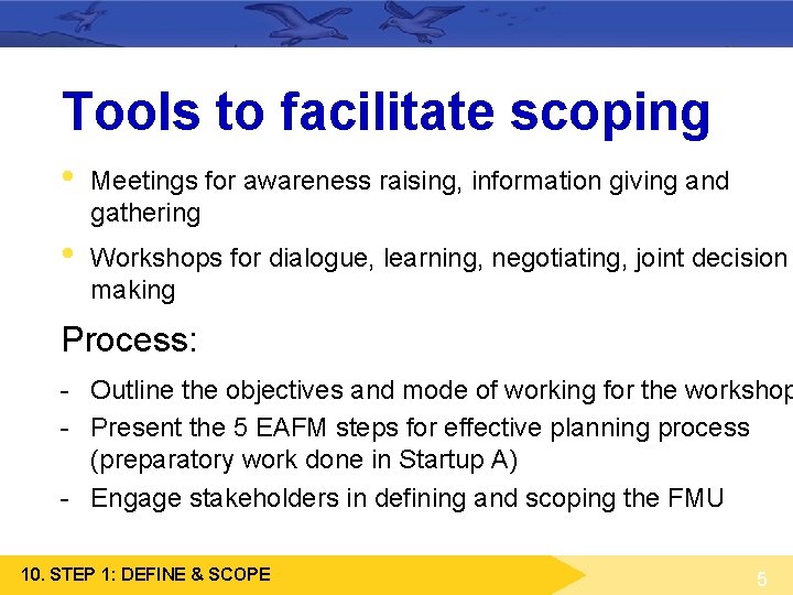 Tools to facilitate scoping • Meetings for awareness raising, information giving and gathering • Tools to facilitate scoping • Meetings for awareness raising, information giving and gathering •