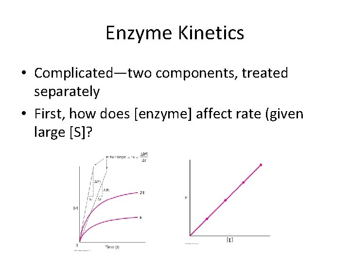 Enzyme Kinetics • Complicated—two components, treated separately • First, how does [enzyme] affect rate