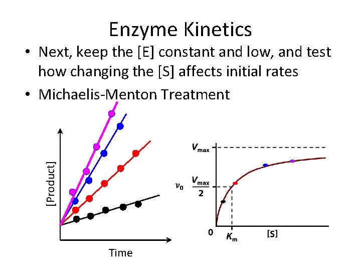 Enzyme Kinetics [Product] • Next, keep the [E] constant and low, and test how