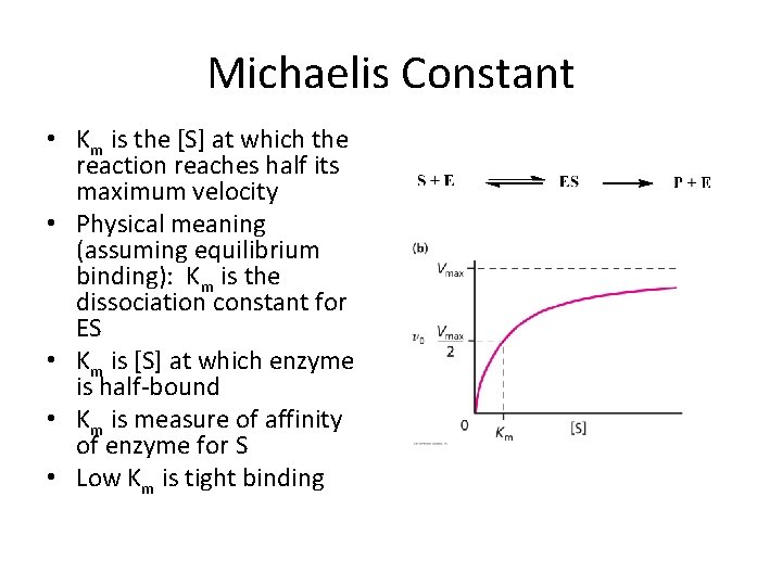 Michaelis Constant • Km is the [S] at which the reaction reaches half its