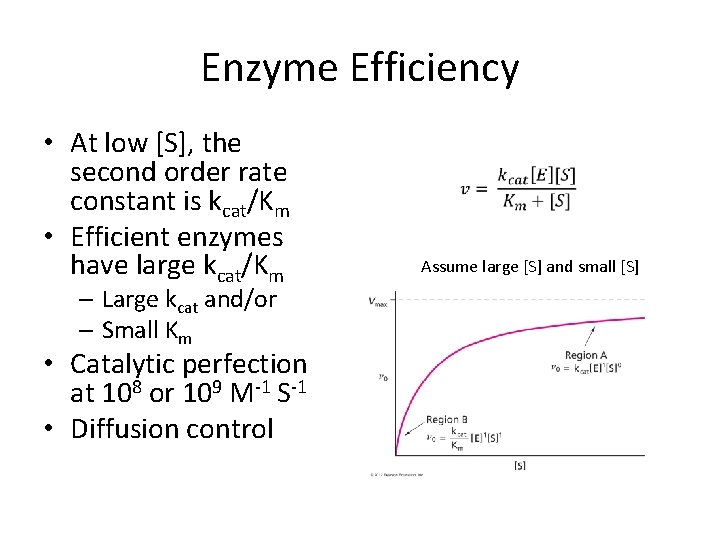 Enzyme Efficiency • At low [S], the second order rate constant is kcat/Km •