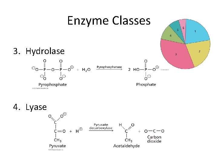 Enzyme Classes 3. Hydrolase 4. Lyase 