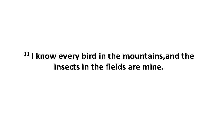 11 I know every bird in the mountains, and the insects in the fields
