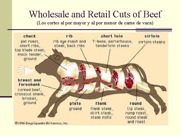 Wholesale and Retail Cuts of Beef (Los cortes al por mayor y al por