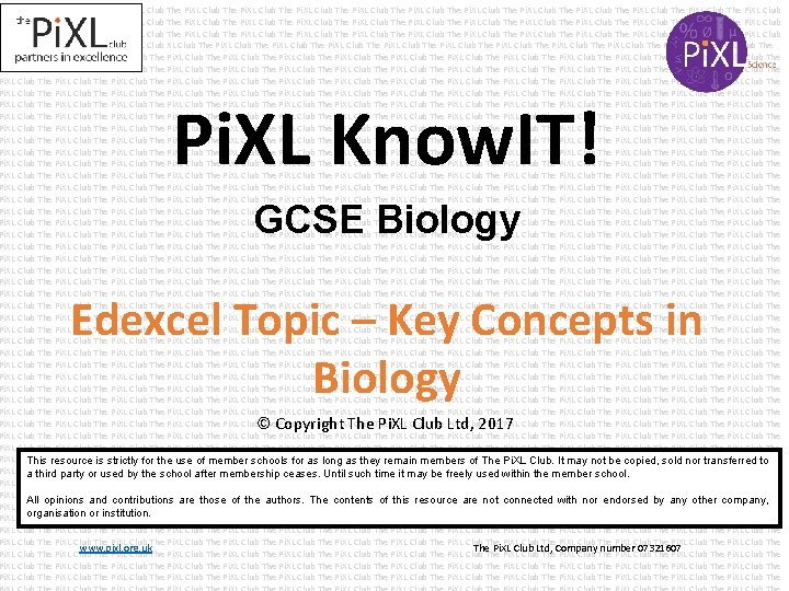 The Pi. XL Club The Pi. XL Club The Pi. XL Club The Pi.