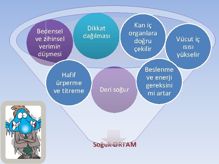 Bedensel ve zihinsel verimin düşmesi Dikkat dağılması Hafif ürperme ve titreme Kan iç organlara