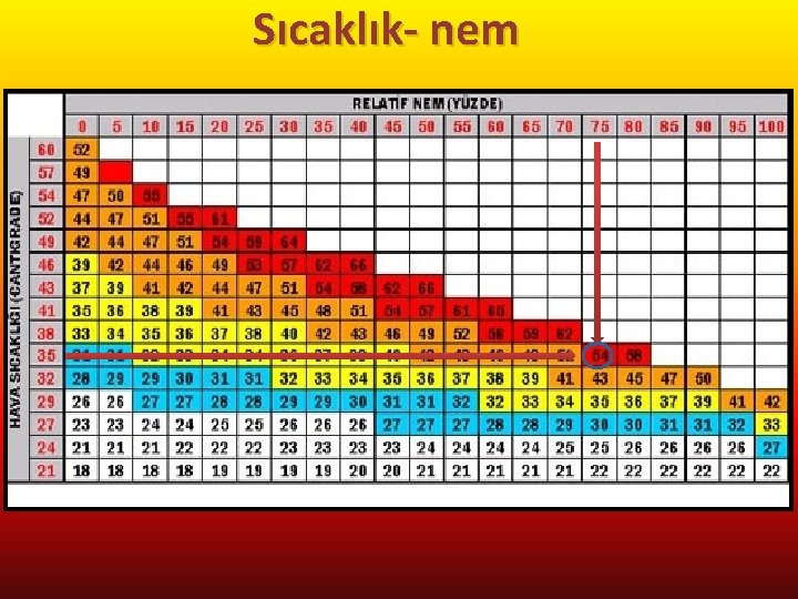 Sıcaklık- nem 