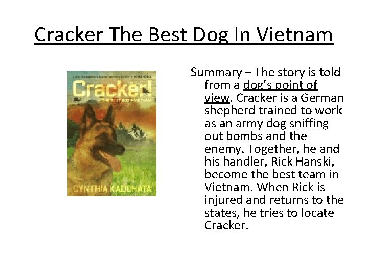 Cracker The Best Dog In Vietnam Summary – The story is told from a