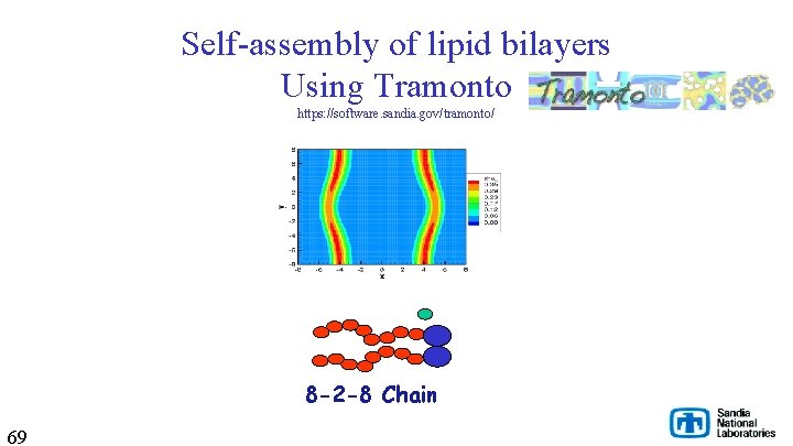 Self-assembly of lipid bilayers Using Tramonto https: //software. sandia. gov/tramonto/ 8 -2 -8 Chain