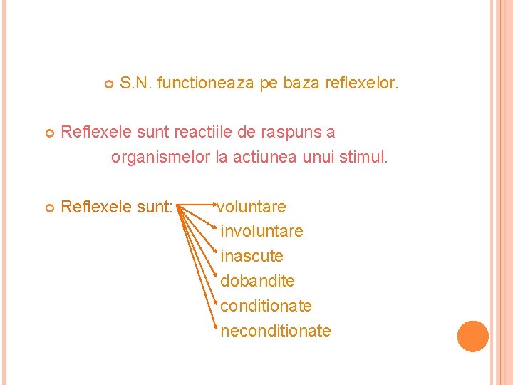  S. N. functioneaza pe baza reflexelor. Reflexele sunt reactiile de raspuns a organismelor
