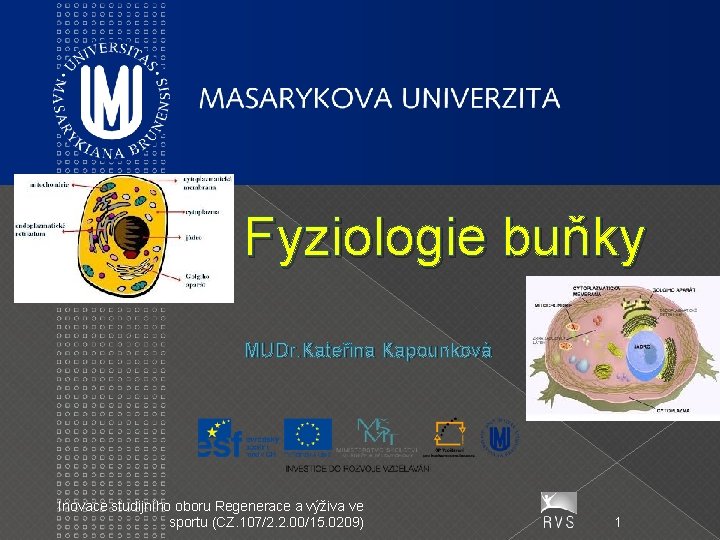 Fyziologie buňky MUDr. Kateřina Kapounková Inovace studijního oboru Regenerace a výživa ve sportu (CZ.