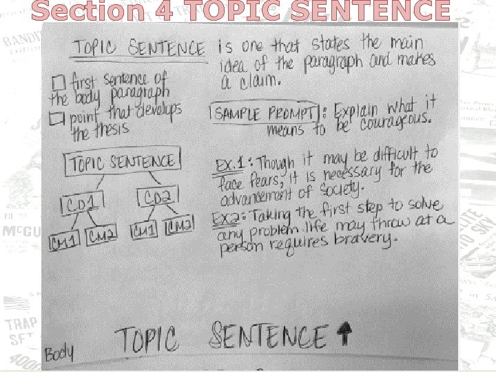 Section 4 TOPIC SENTENCE 