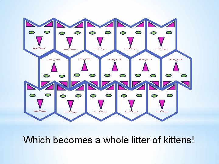 Which becomes a whole litter of kittens! 
