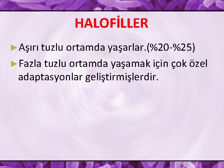 HALOFİLLER ►Aşırı tuzlu ortamda yaşarlar. (%20 -%25) ►Fazla tuzlu ortamda yaşamak için çok özel