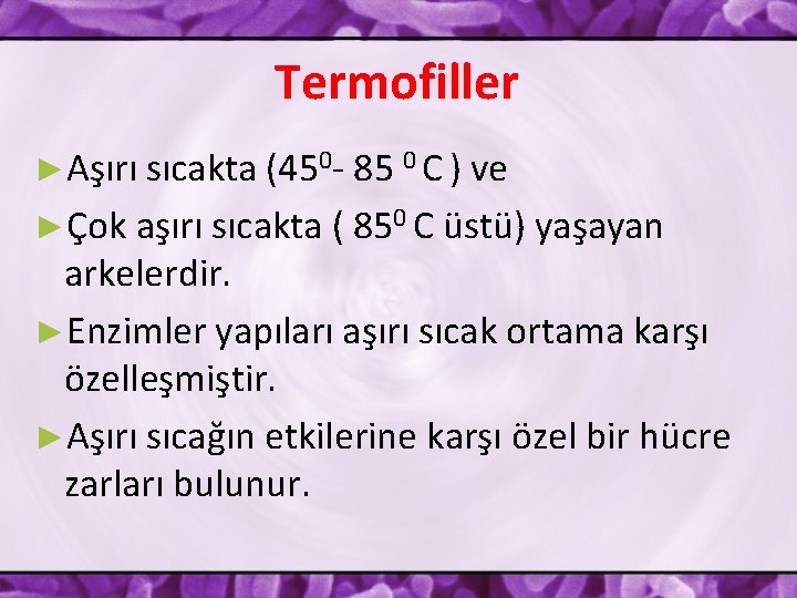 Termofiller ►Aşırı sıcakta (450 - 85 0 C ) ve ►Çok aşırı sıcakta (