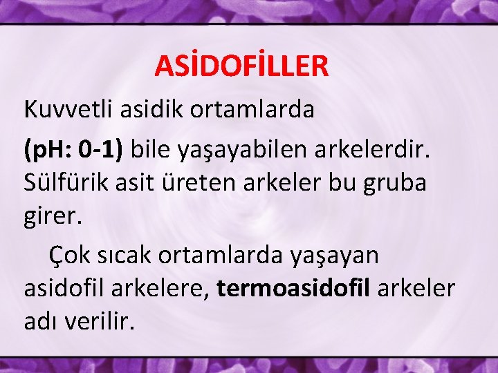 ASİDOFİLLER Kuvvetli asidik ortamlarda (p. H: 0 -1) bile yaşayabilen arkelerdir. Sülfürik asit üreten