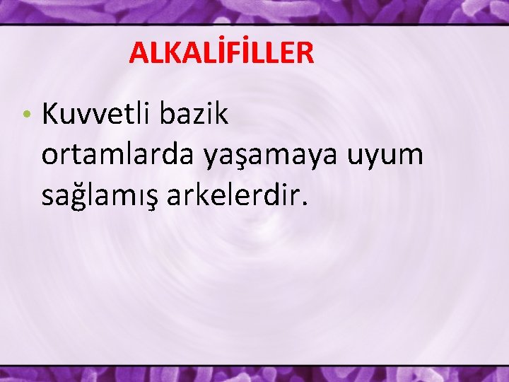 ALKALİFİLLER • Kuvvetli bazik ortamlarda yaşamaya uyum sağlamış arkelerdir. 
