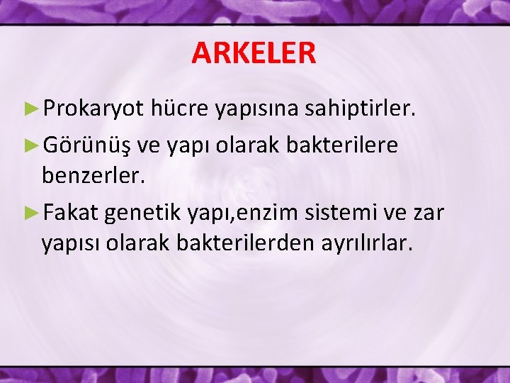 ARKELER ►Prokaryot hücre yapısına sahiptirler. ►Görünüş ve yapı olarak bakterilere benzerler. ►Fakat genetik yapı,