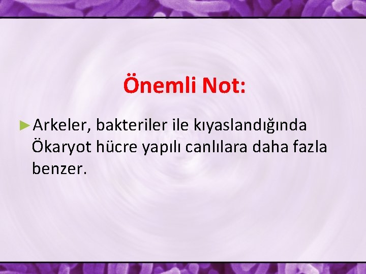 Önemli Not: ►Arkeler, bakteriler ile kıyaslandığında Ökaryot hücre yapılı canlılara daha fazla benzer. 