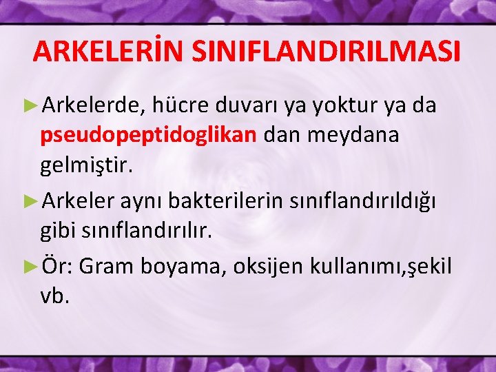 ARKELERİN SINIFLANDIRILMASI ►Arkelerde, hücre duvarı ya yoktur ya da pseudopeptidoglikan dan meydana gelmiştir. ►Arkeler
